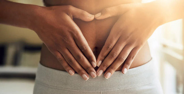 The Gut-Immune Connection: Understanding Your Inner Ecosystem - Nutent Therapeutics