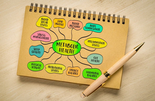 What Is Metabolic Health? A Complete Guide - Nutent Therapeutics