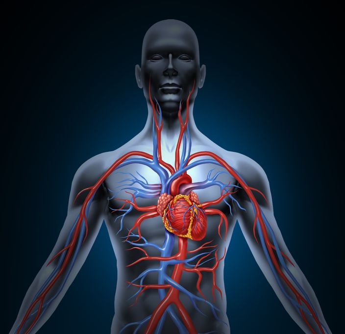 curcumin and heart disease