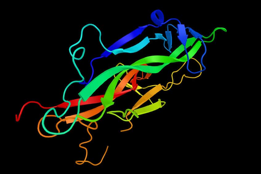 Curcumin boosts bdnf